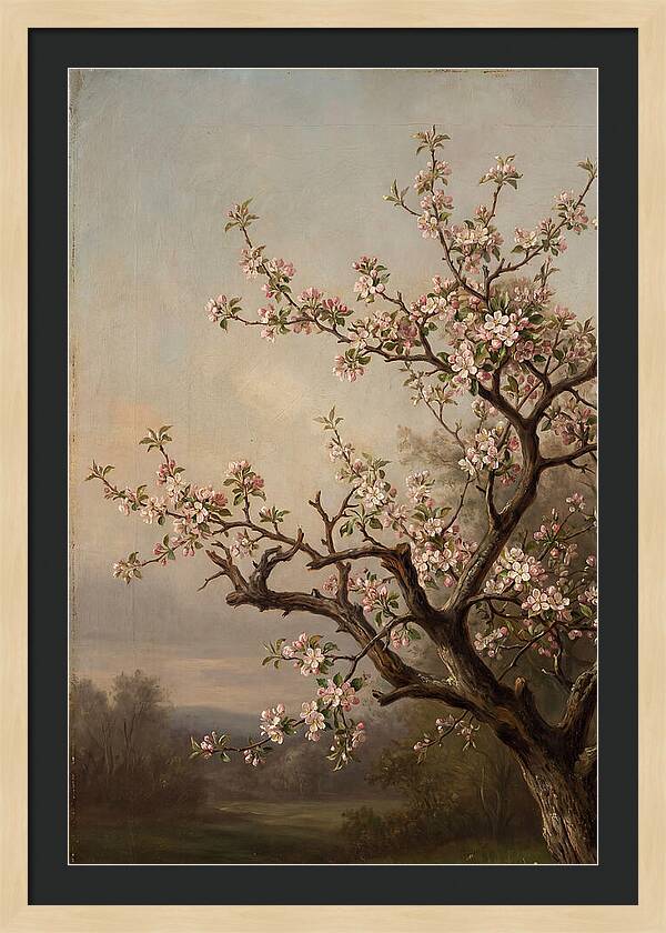 Blossoming Serenity In Nature