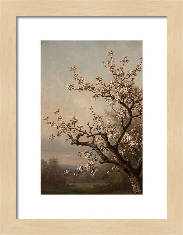 Blossoming Serenity In Nature