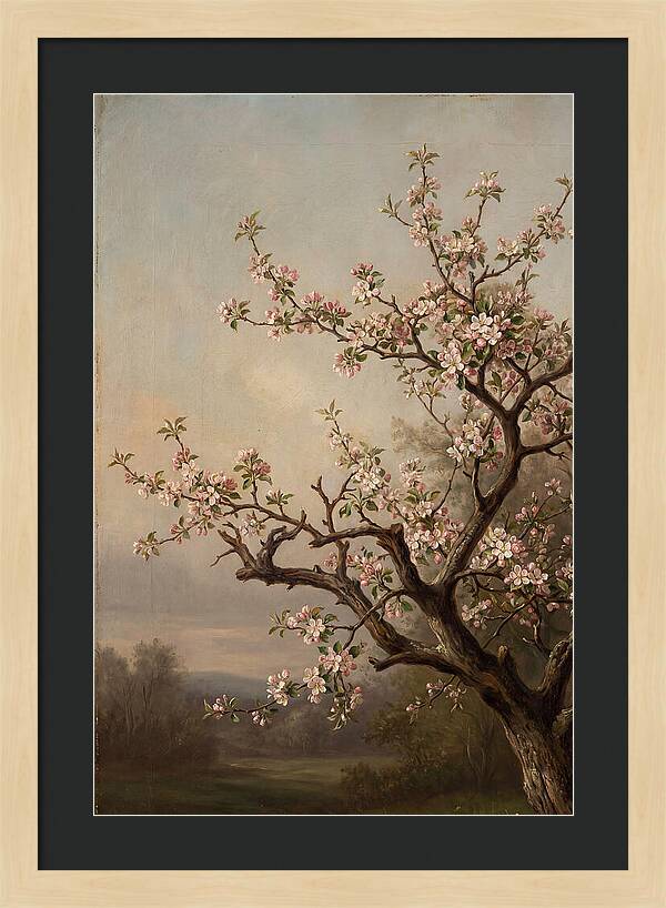 Blossoming Serenity In Nature
