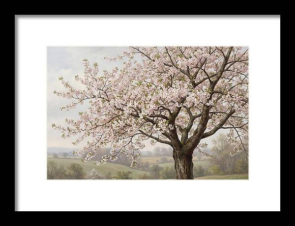 Blossoming Tree Under