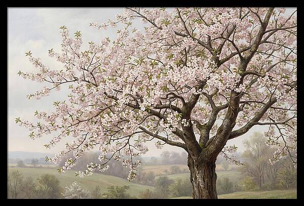 Blossoming Tree Under