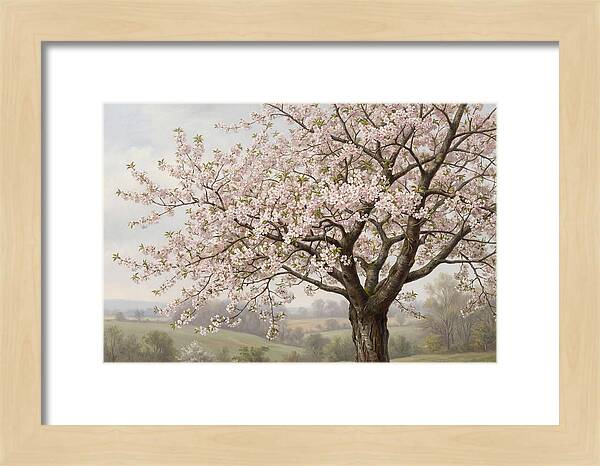 Blossoming Tree Under