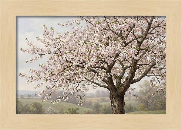 Blossoming Tree Under