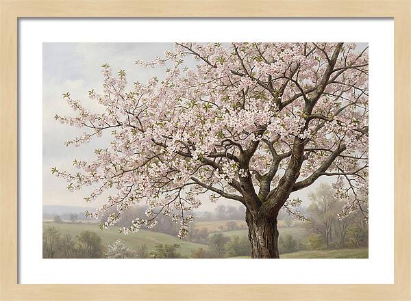 Blossoming Tree Under