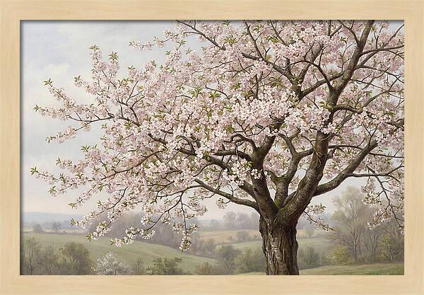 Blossoming Tree Under