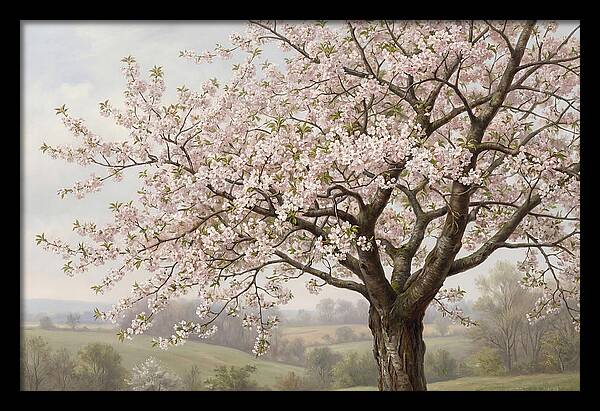 Blossoming Tree Under