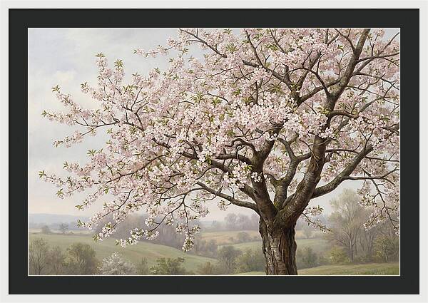 Blossoming Tree Under