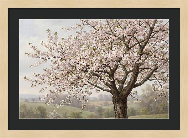 Blossoming Tree Under