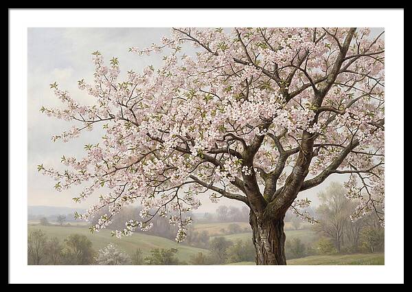 Blossoming Tree Under