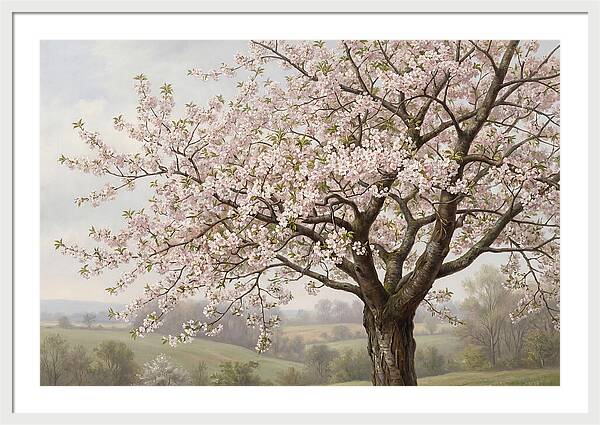 Blossoming Tree Under