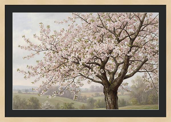 Blossoming Tree Under