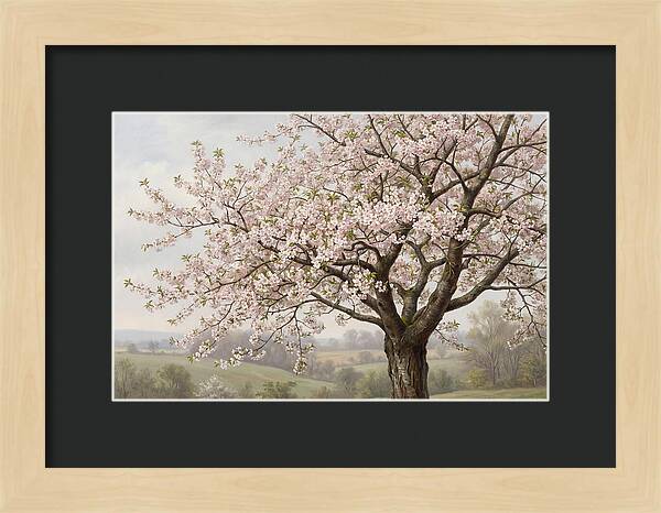 Blossoming Tree Under