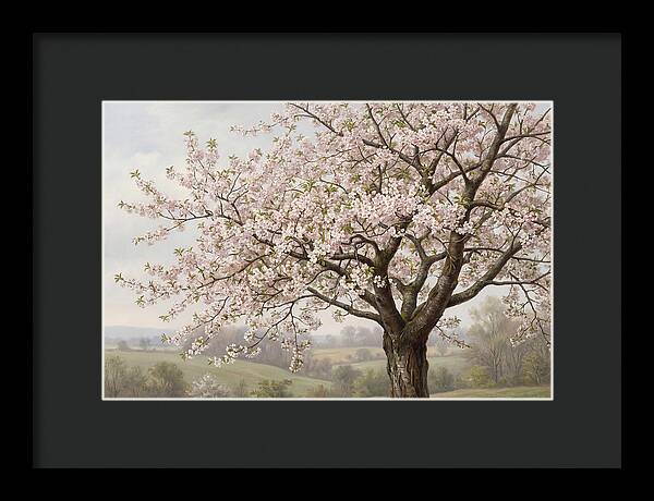 Blossoming Tree Under