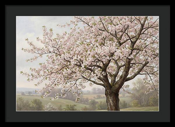 Blossoming Tree Under