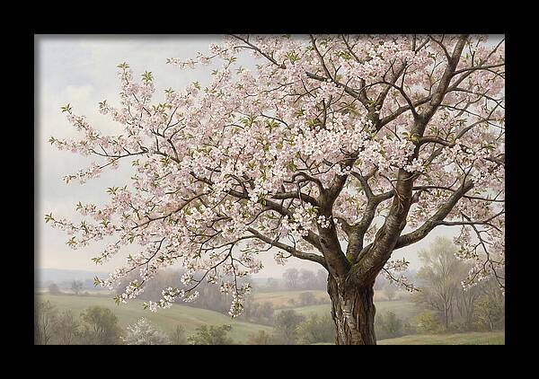 Blossoming Tree Under