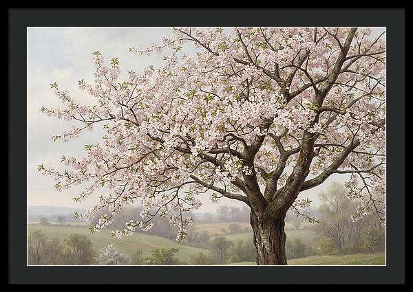 Blossoming Tree Under