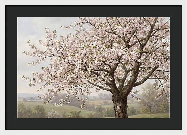Blossoming Tree Under