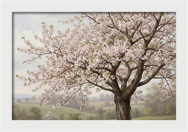 Blossoming Tree Under