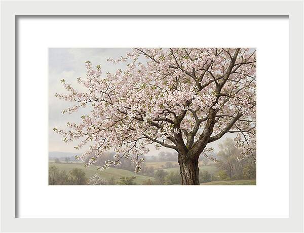 Blossoming Tree Under