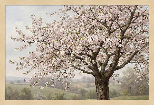 Blossoming Tree Under