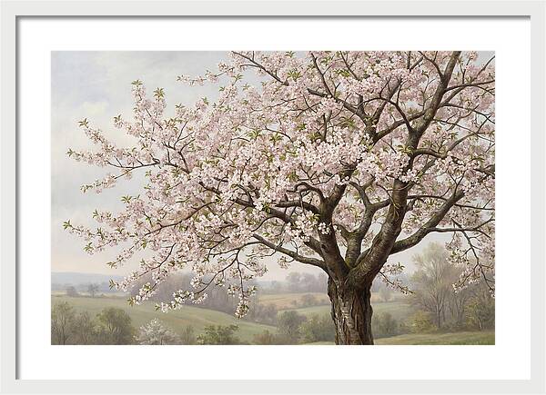 Blossoming Tree Under