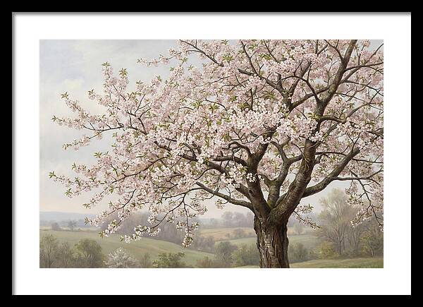 Blossoming Tree Under