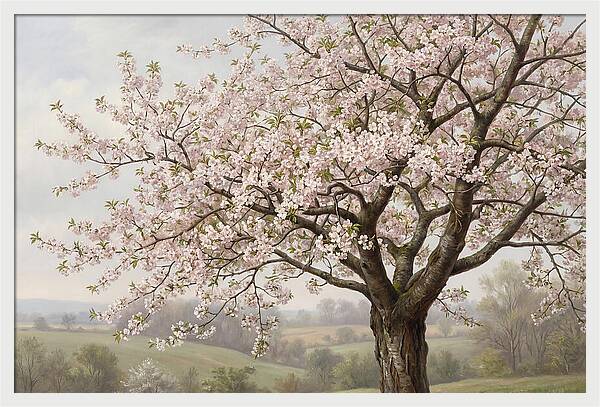 Blossoming Tree Under