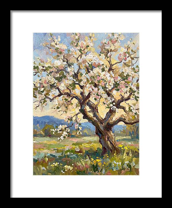 Blossoming Tree Under Sunlight