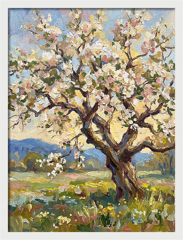 Blossoming Tree Under Sunlight