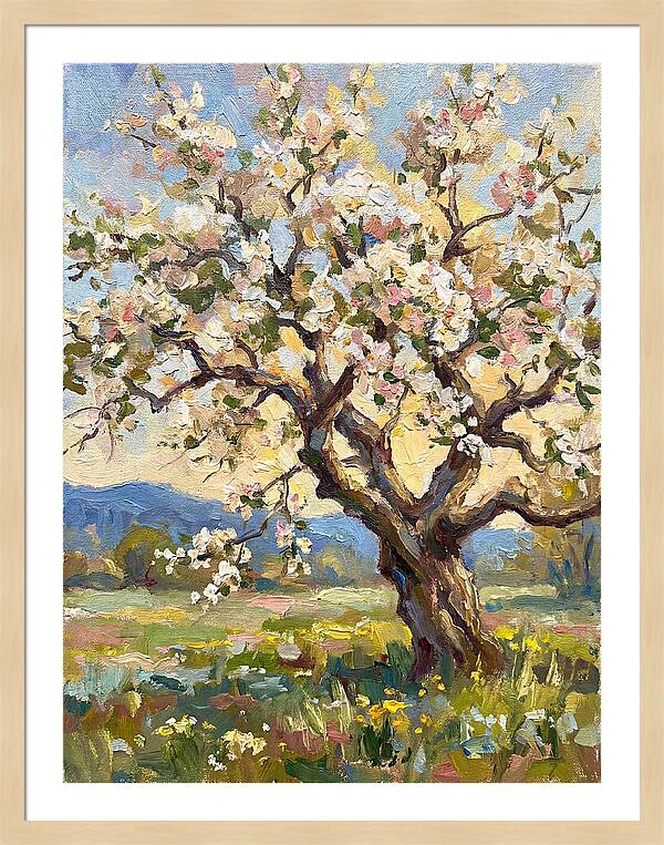 Blossoming Tree Under Sunlight