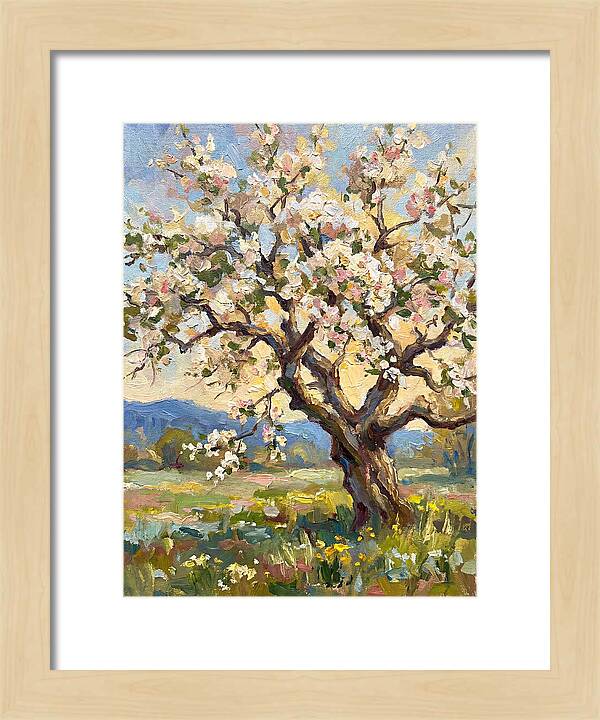 Blossoming Tree Under Sunlight