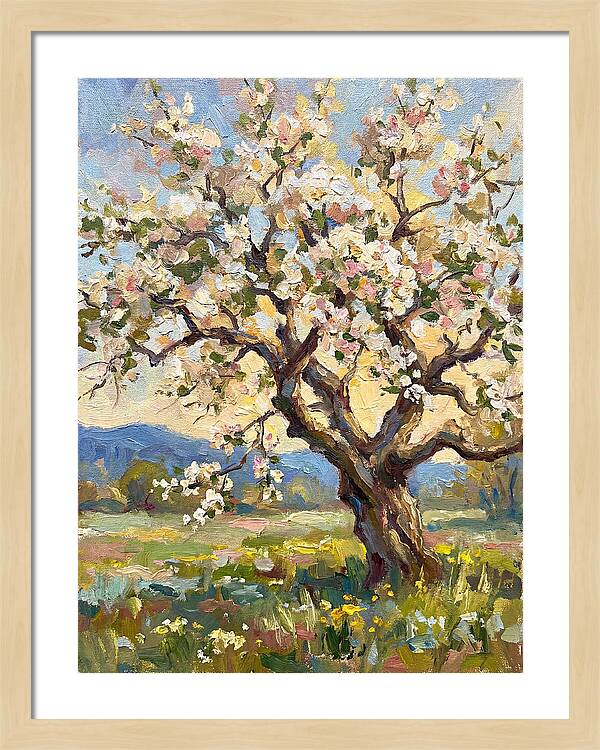 Blossoming Tree Under Sunlight