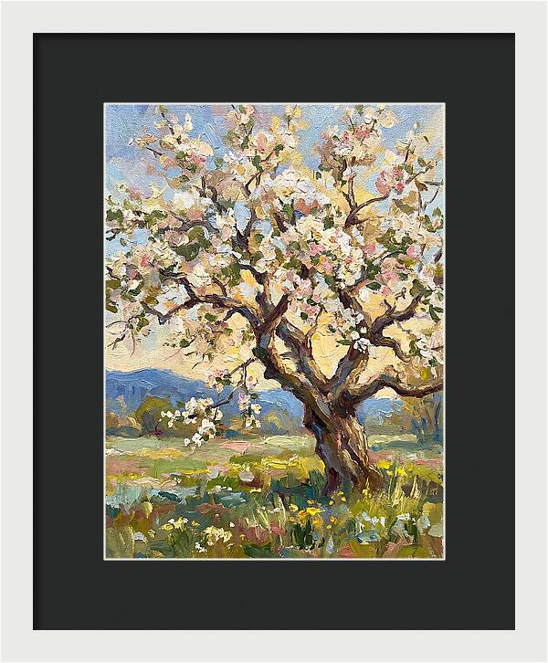 Blossoming Tree Under Sunlight