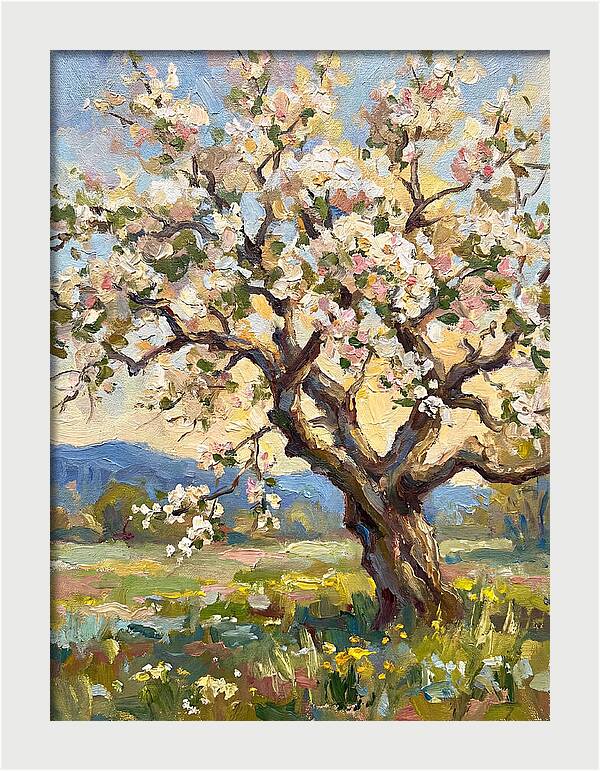 Blossoming Tree Under Sunlight