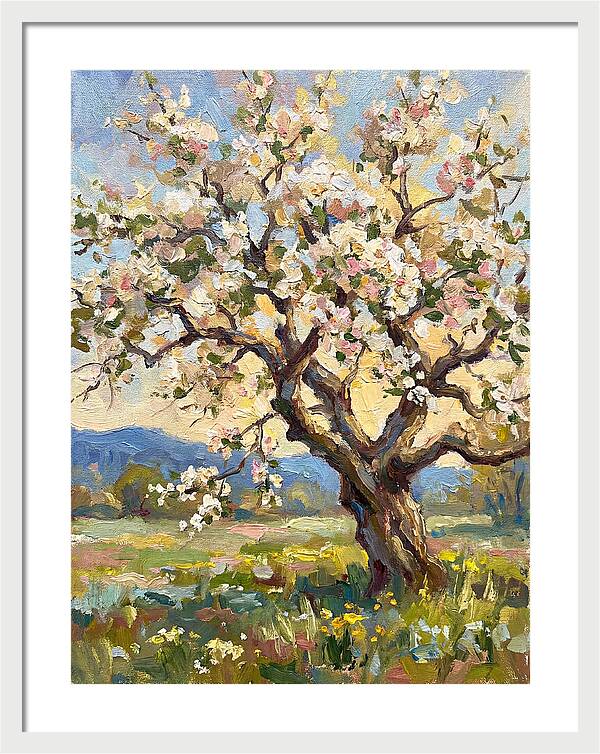 Blossoming Tree Under Sunlight