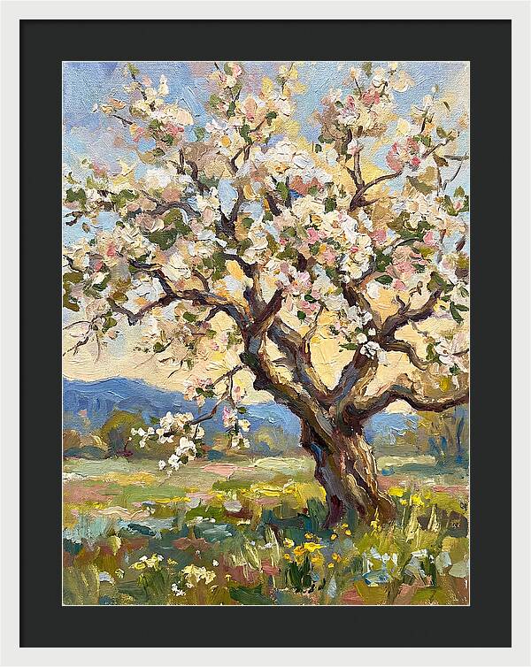 Blossoming Tree Under Sunlight
