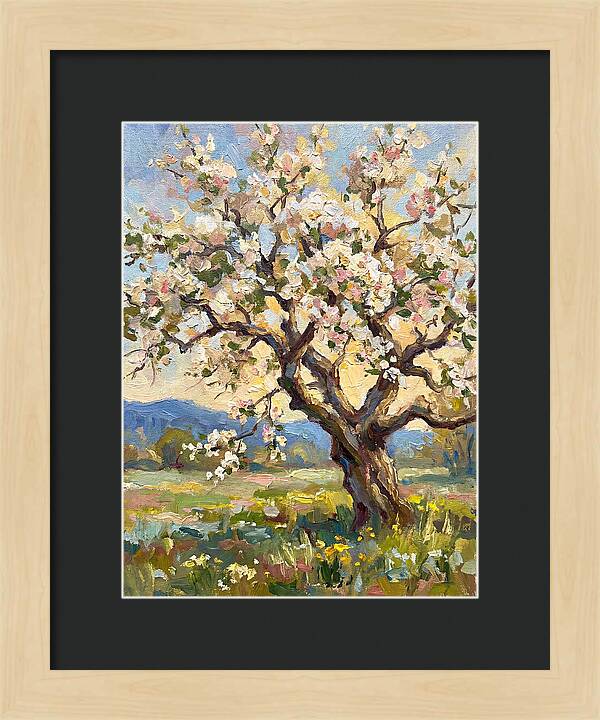 Blossoming Tree Under Sunlight