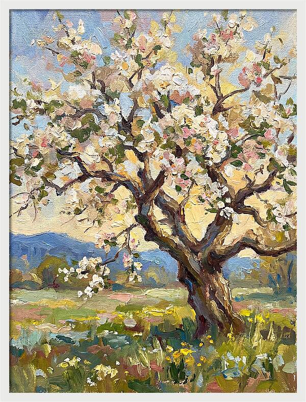 Blossoming Tree Under Sunlight