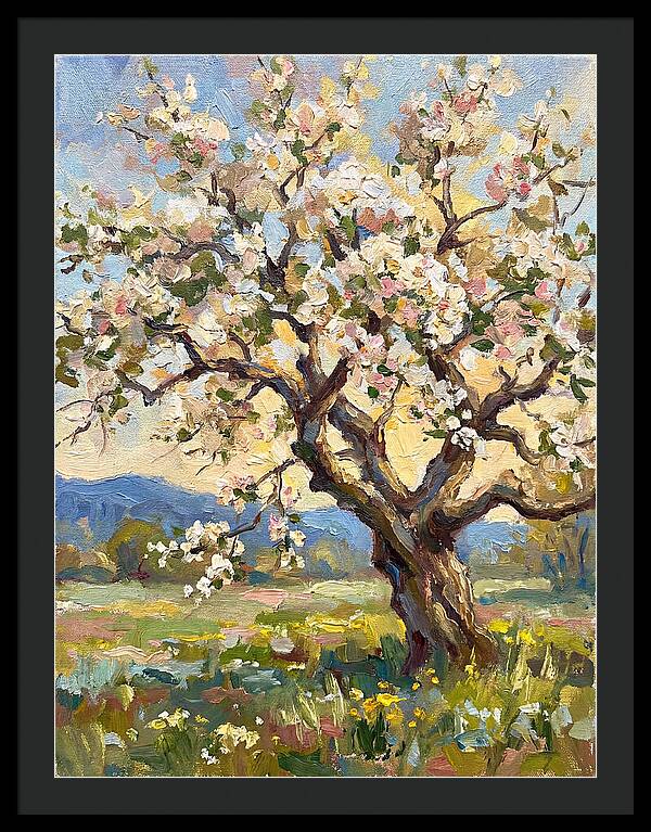 Blossoming Tree Under Sunlight