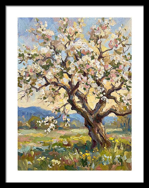 Blossoming Tree Under Sunlight