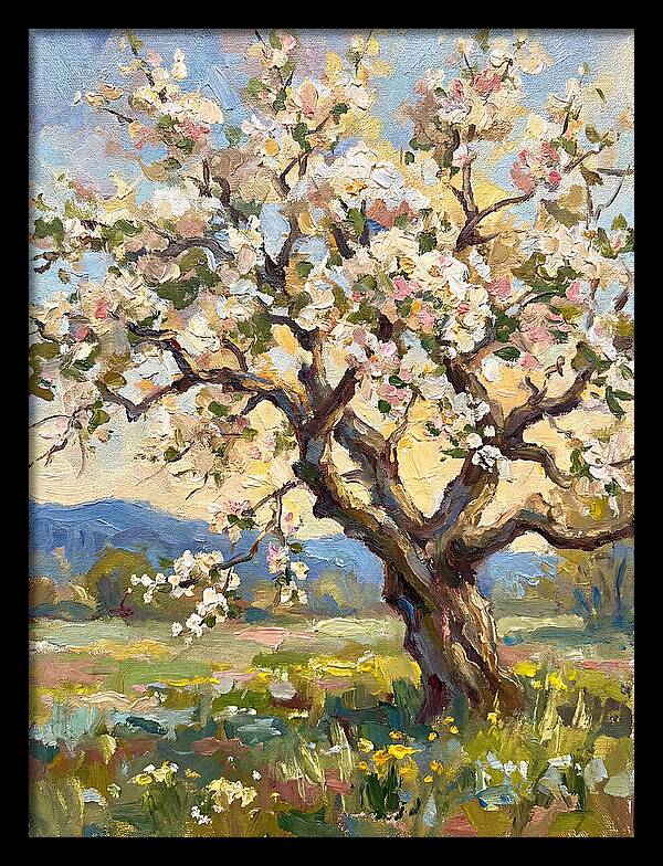 Blossoming Tree Under Sunlight