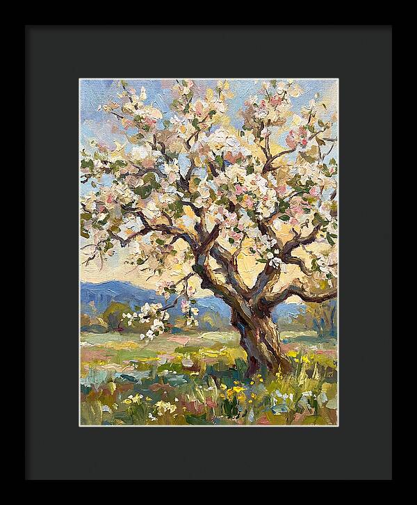 Blossoming Tree Under Sunlight