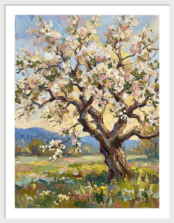 Blossoming Tree Under Sunlight
