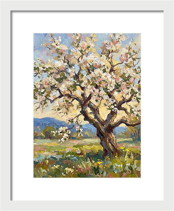 Blossoming Tree Under Sunlight