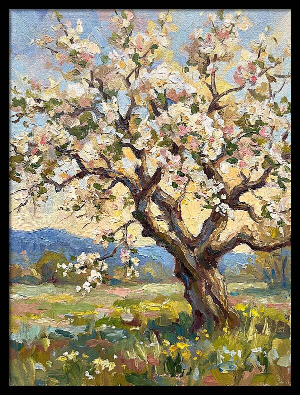 Blossoming Tree Under Sunlight