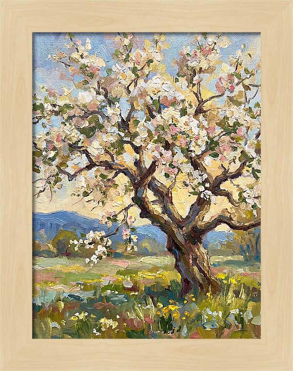 Blossoming Tree Under Sunlight