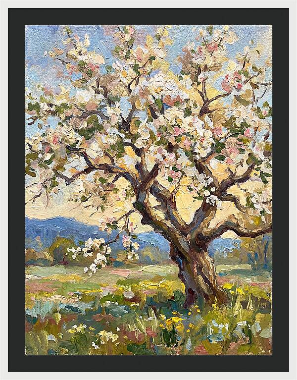 Blossoming Tree Under Sunlight