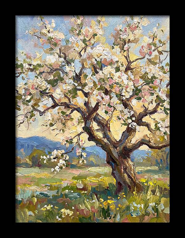 Blossoming Tree Under Sunlight
