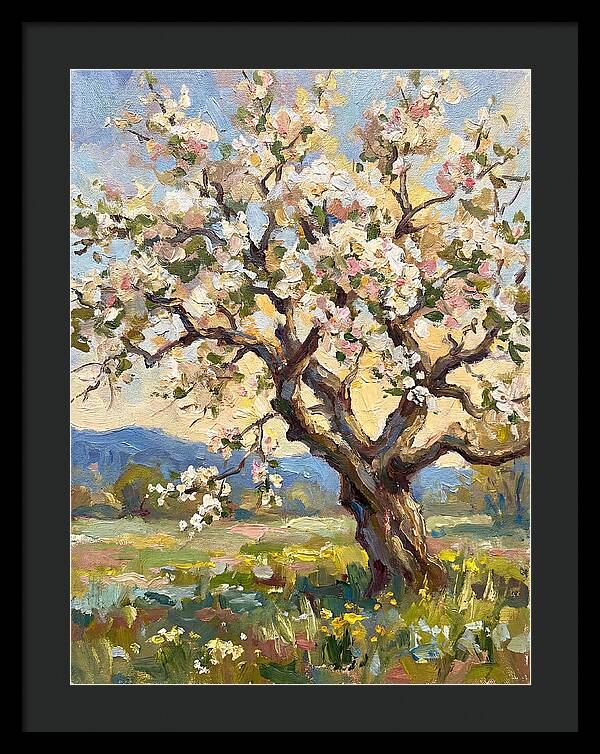 Blossoming Tree Under Sunlight