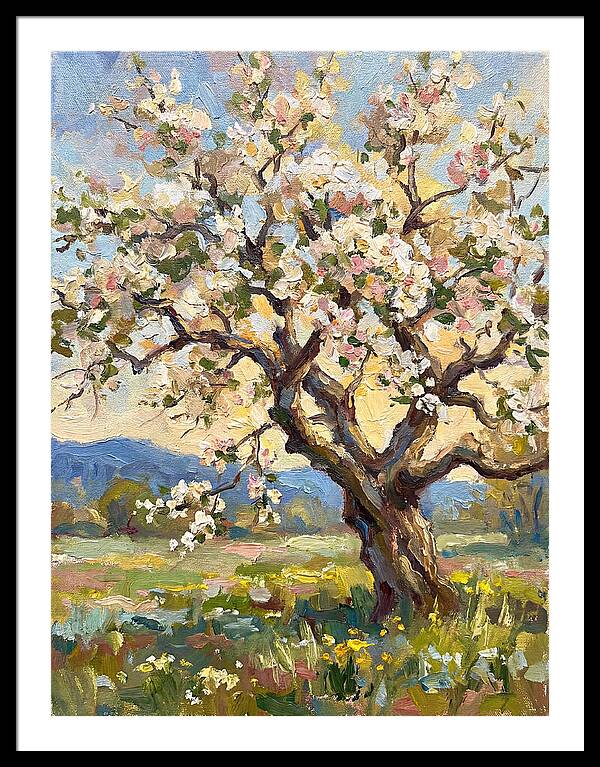 Blossoming Tree Under Sunlight